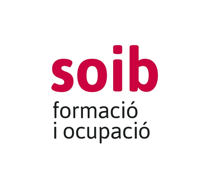 Un servei finançat per: 