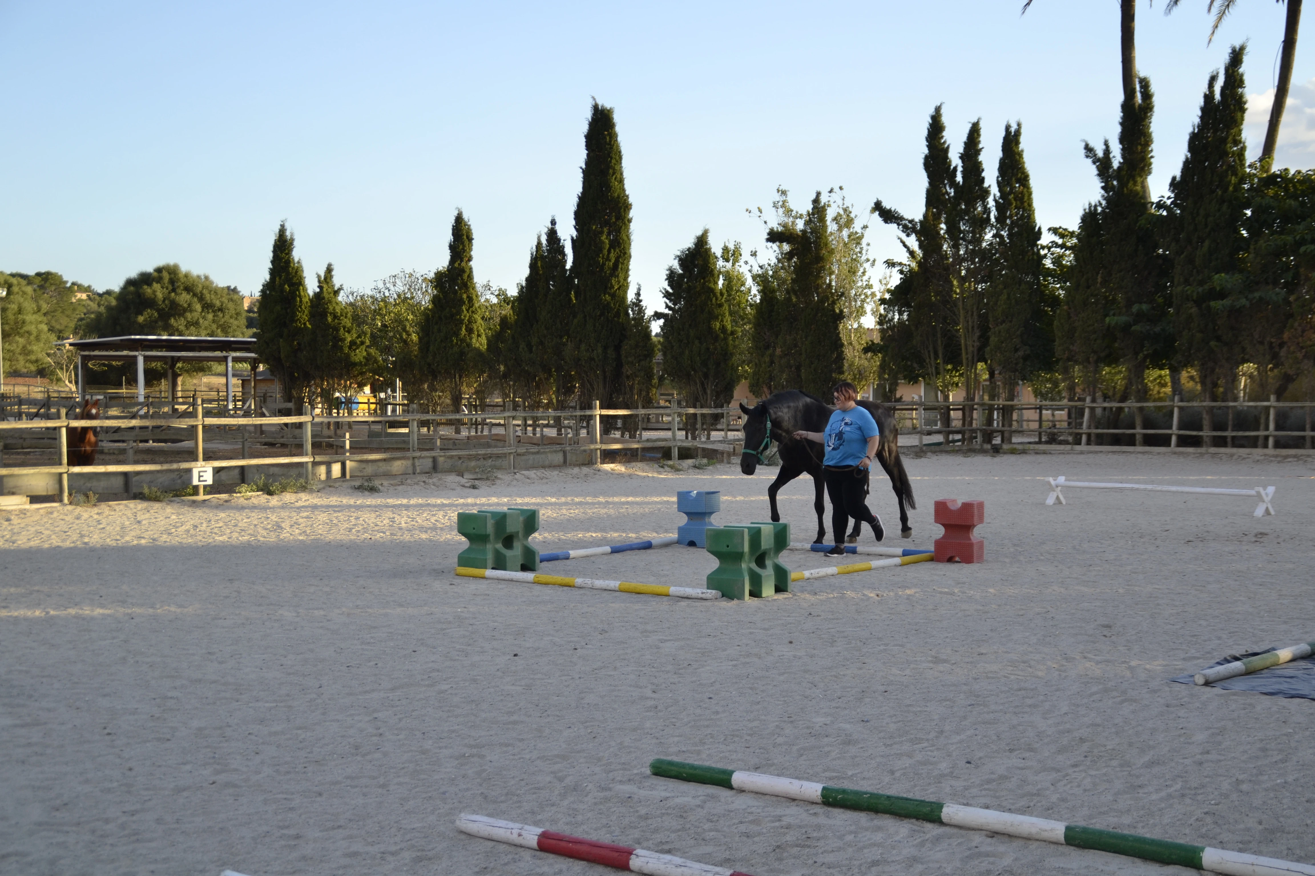 Cavalcant cap a la salut mental