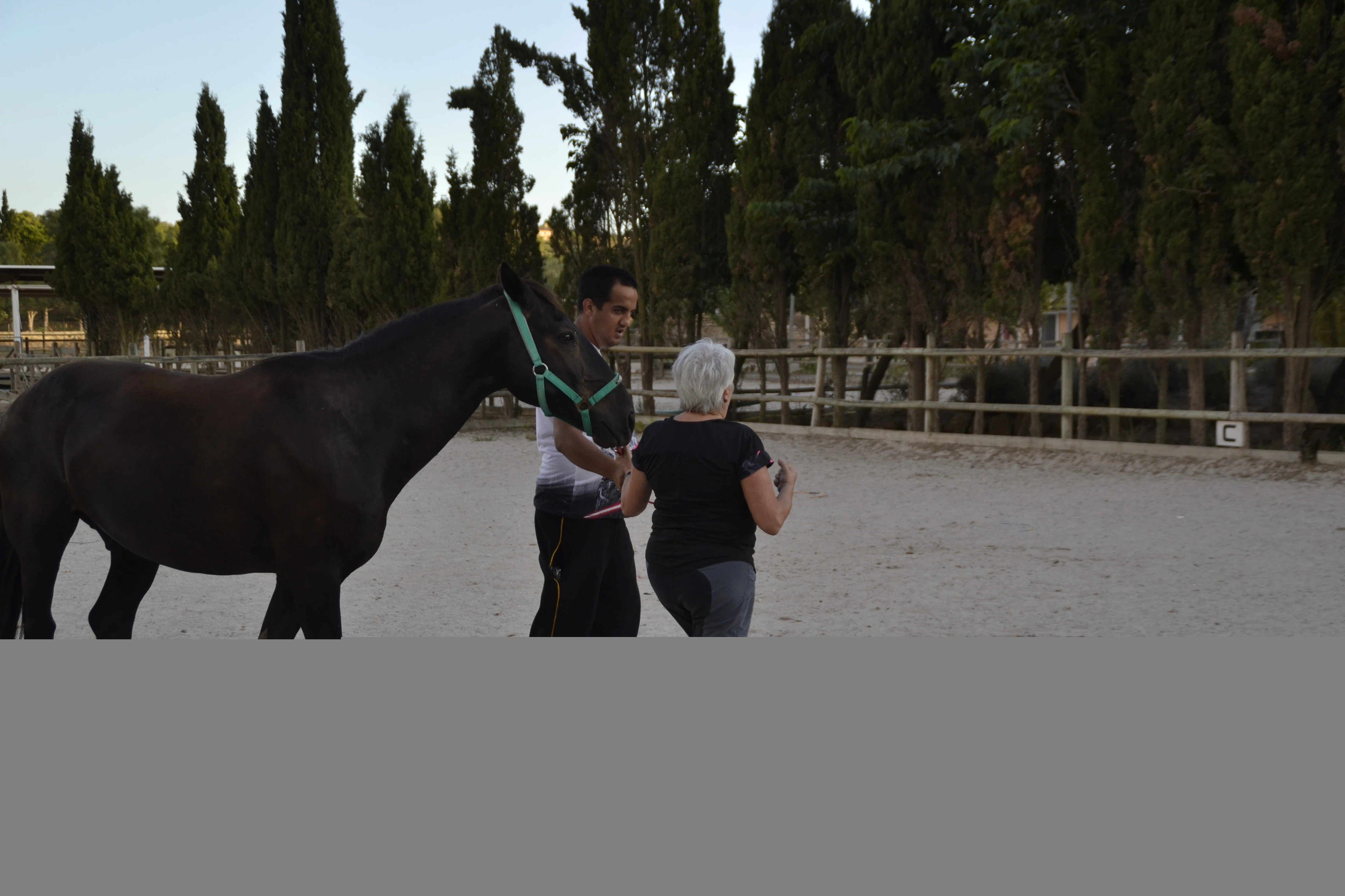 Cavalcant cap a la salut mental