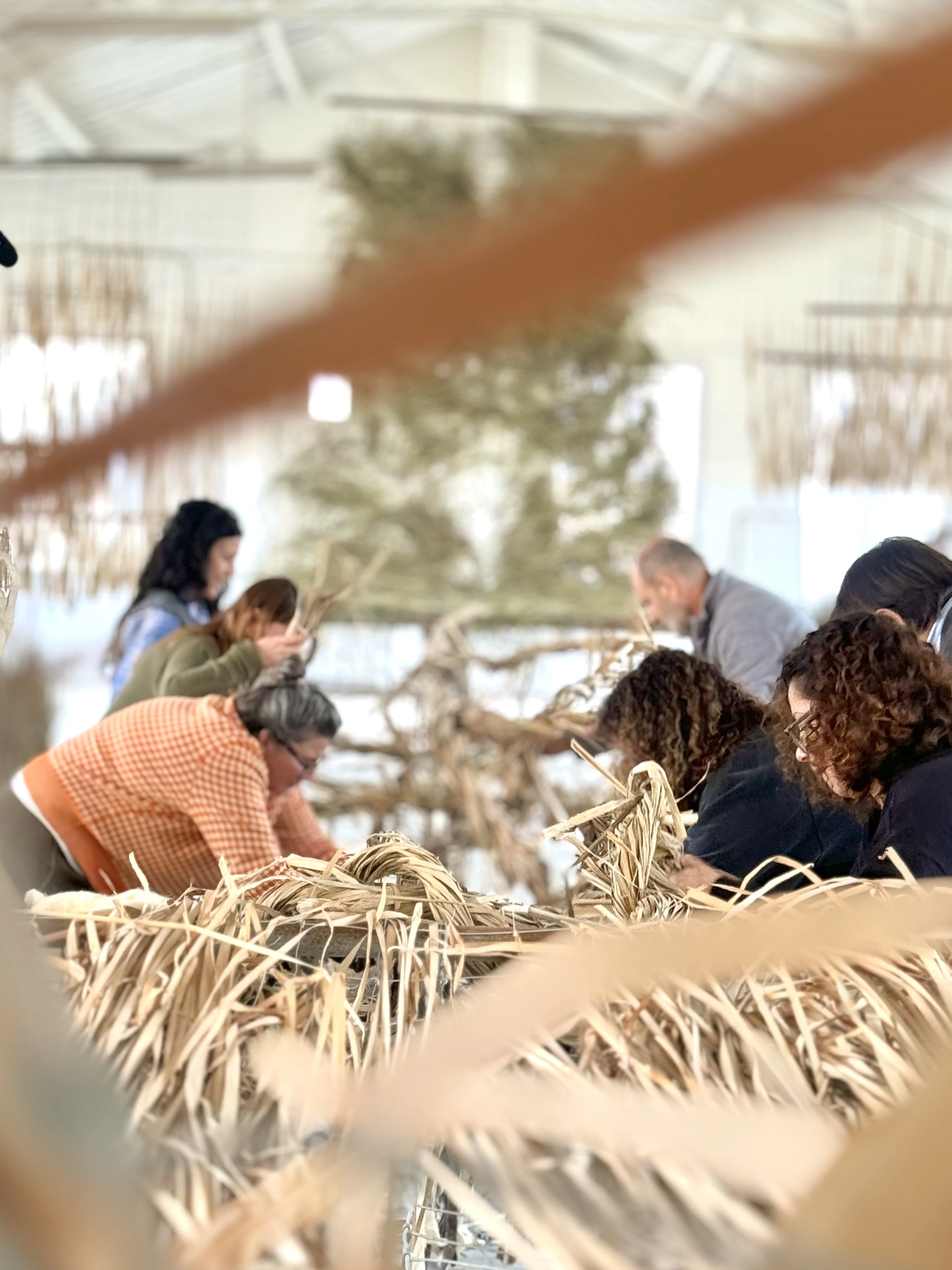 Més d’un centenar de persones participen en la inauguració del I Fòrum Llanatura